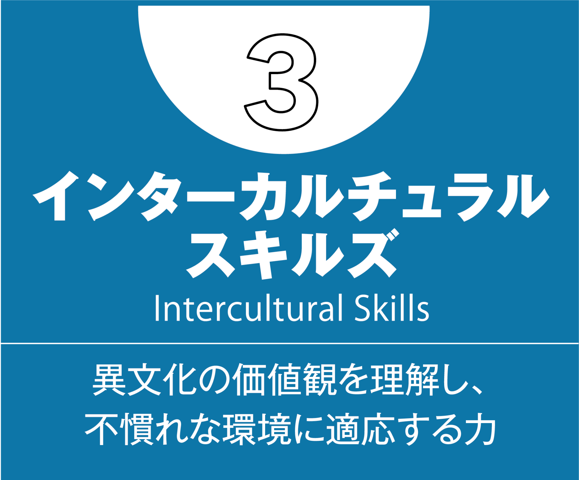 3.インターカルチュラルスキルズ